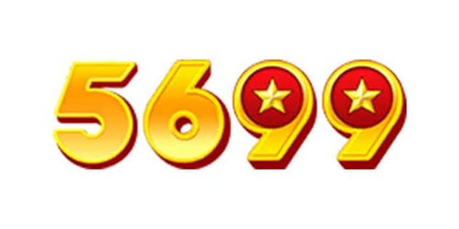 VN5699 Game